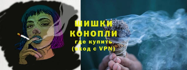 ПСИЛОЦИБИНОВЫЕ ГРИБЫ Баксан