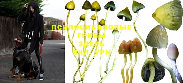 СК Балахна