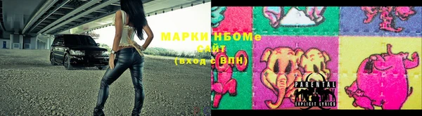 ПСИЛОЦИБИНОВЫЕ ГРИБЫ Баксан