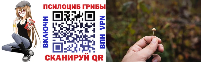 Псилоцибиновые грибы мицелий  Пущино 